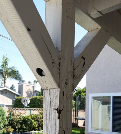 Wood Patio Covers & Pergolas Orange County Dry Rot and Termite Repair